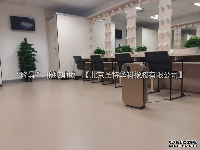 北京市天橋演藝劇場橡膠地板工程案例