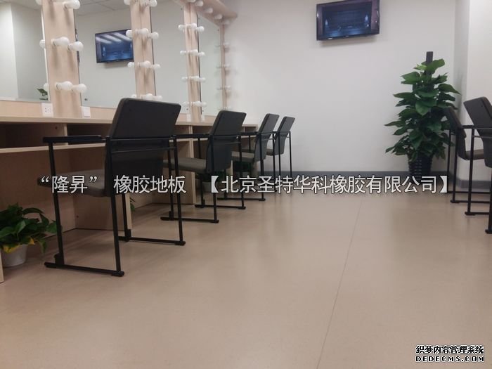 北京市天橋演藝劇場橡膠地板工程案例