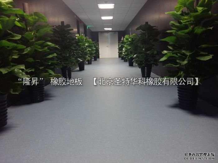 北京市天橋演藝劇場橡膠地板工程案例