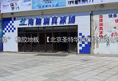 西安市西二環(huán)海德瀾真冰場橡膠地板項目工程案